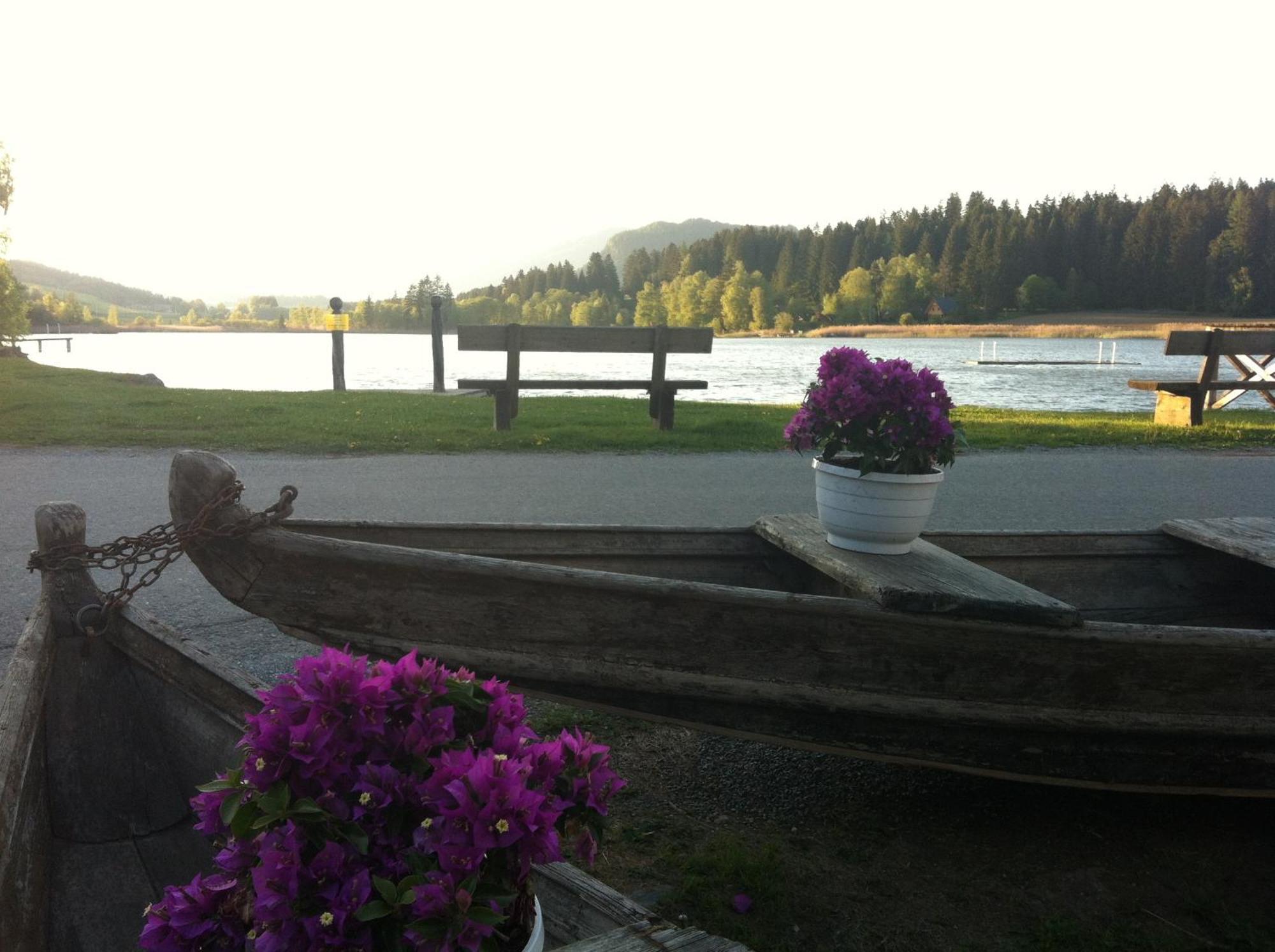 Jera Am Furtnerteich Hotel-Ristorante&Relax Mariahof Eksteriør bilde